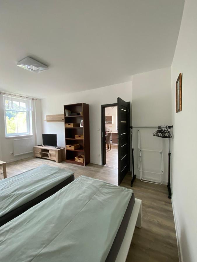 Apartmány U Viaduktu 46 Ústí nad Labem Esterno foto