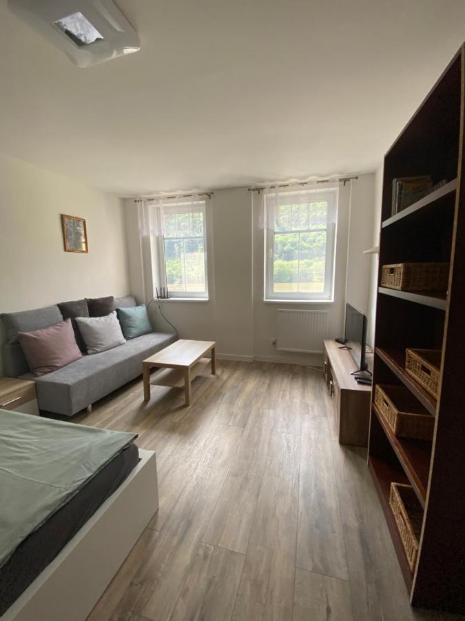 Apartmány U Viaduktu 46 Ústí nad Labem Esterno foto