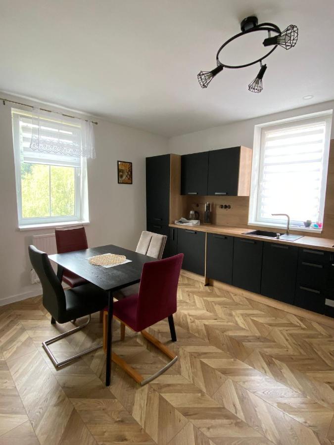 Apartmány U Viaduktu 46 Ústí nad Labem Esterno foto