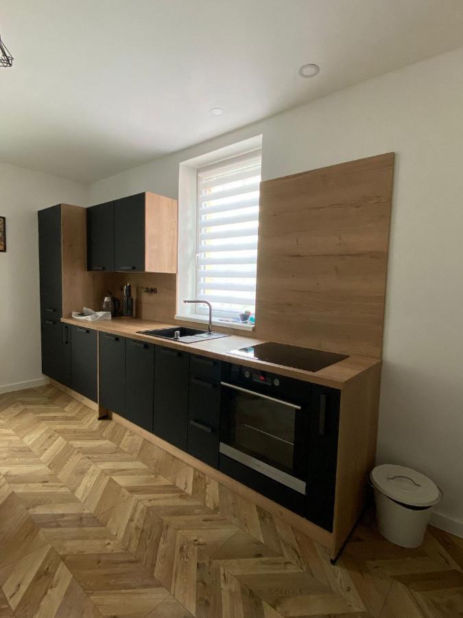 Apartmány U Viaduktu 46 Ústí nad Labem Esterno foto